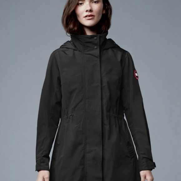 Canada goose - Picture 3 of 3